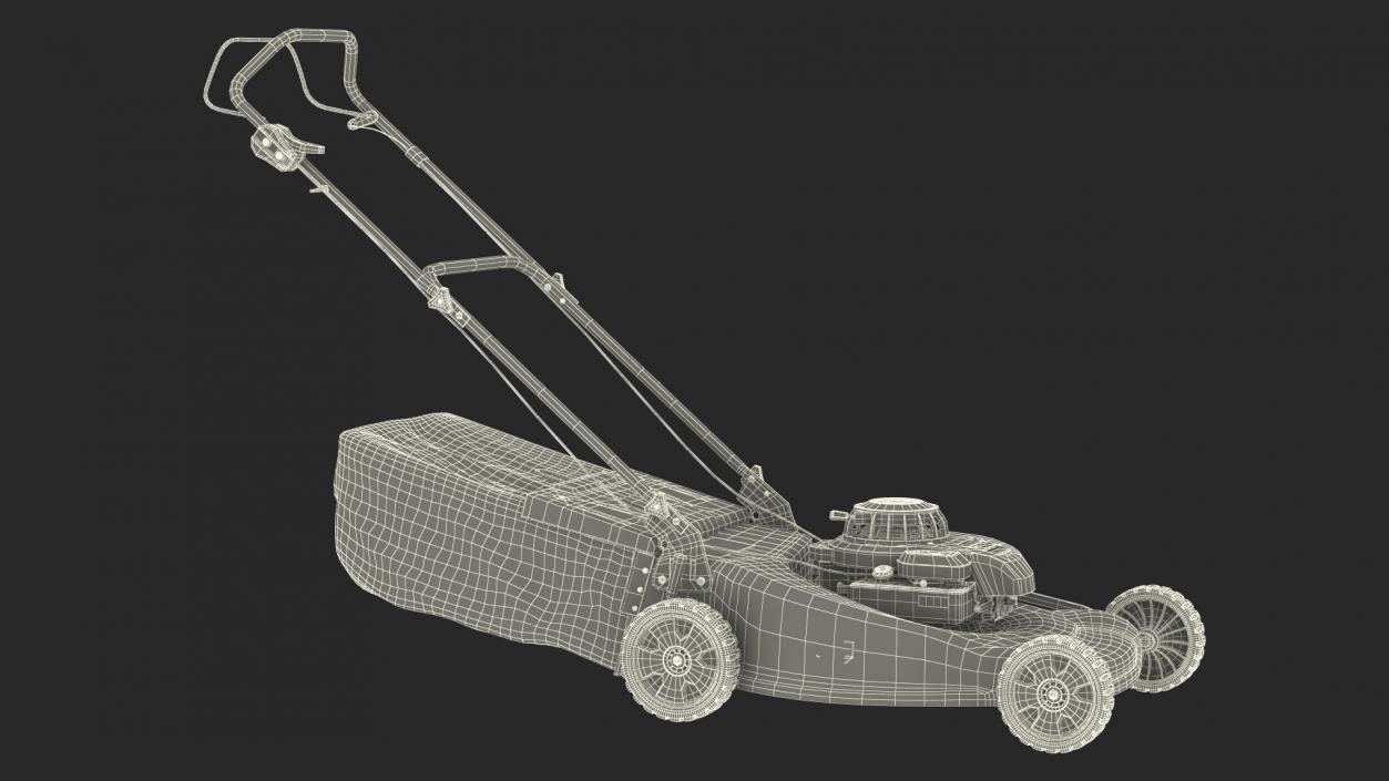 Gas Push Mower 3D model