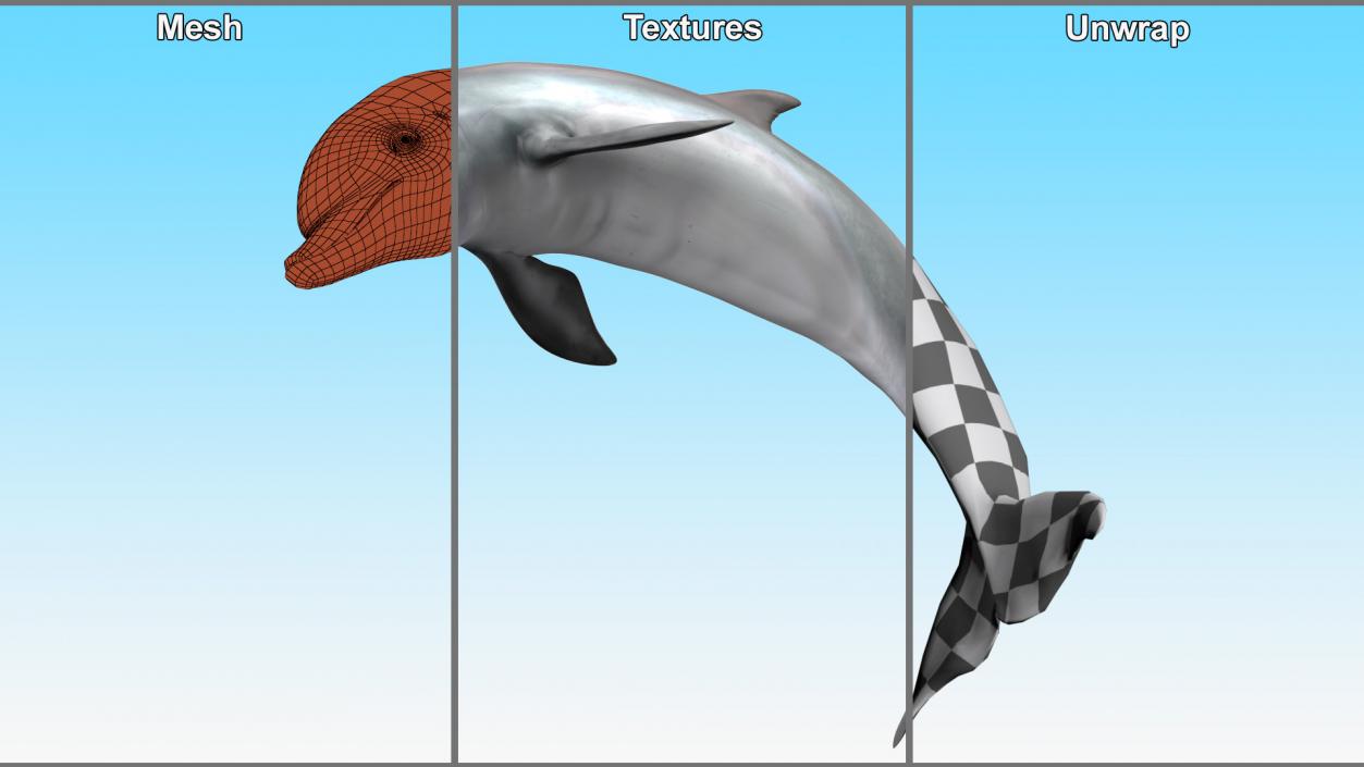 3D Realistic Bottlenose Dolphin Jump model