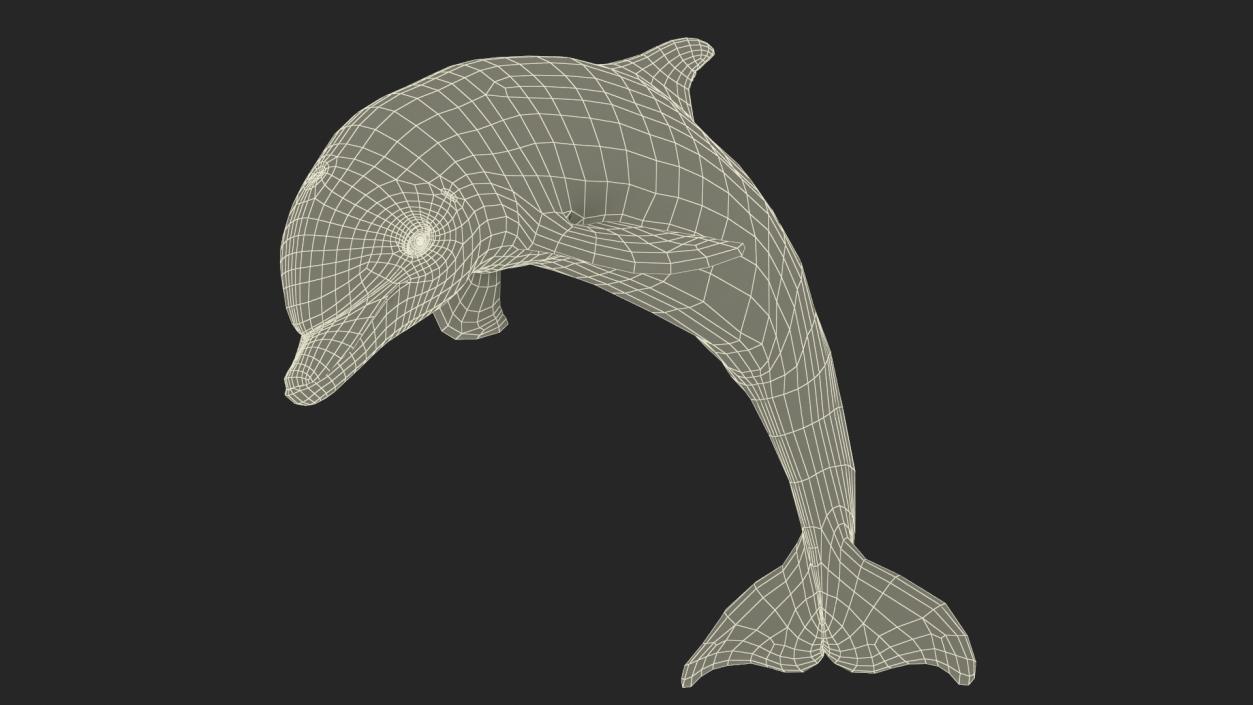 3D Realistic Bottlenose Dolphin Jump model