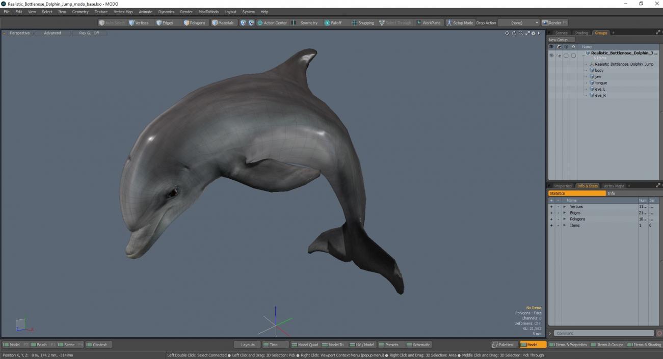 3D Realistic Bottlenose Dolphin Jump model