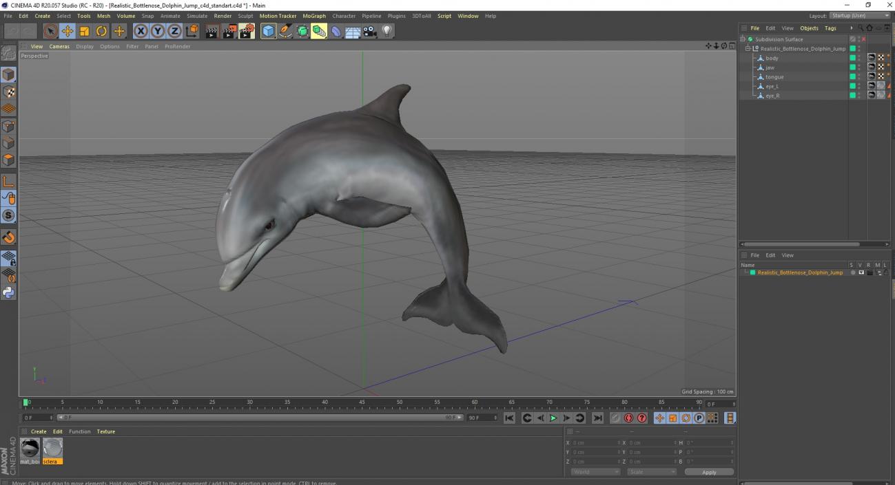 3D Realistic Bottlenose Dolphin Jump model