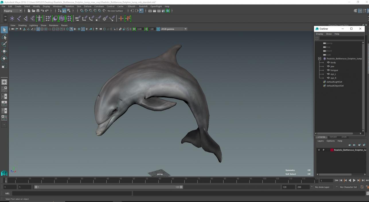 3D Realistic Bottlenose Dolphin Jump model