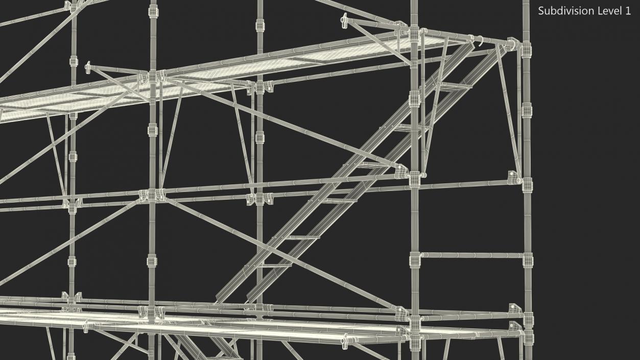 Construction Scaffolding 3D model