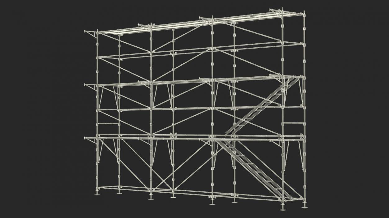 Construction Scaffolding 3D model