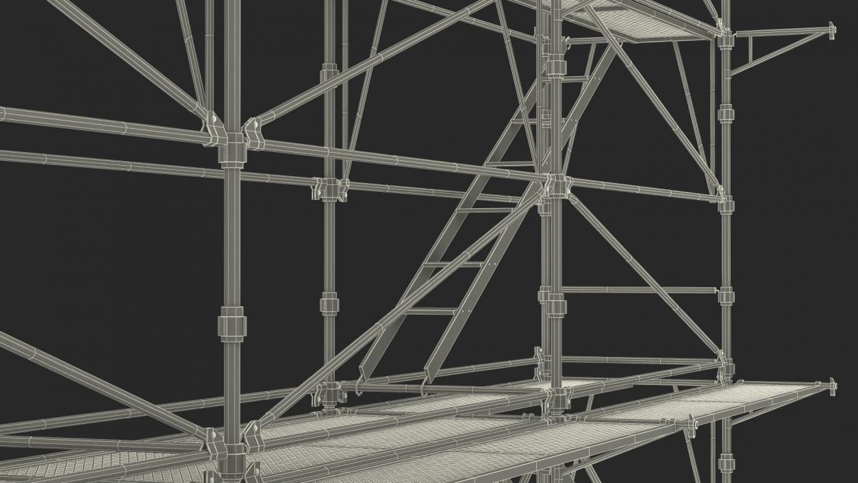 Construction Scaffolding 3D model