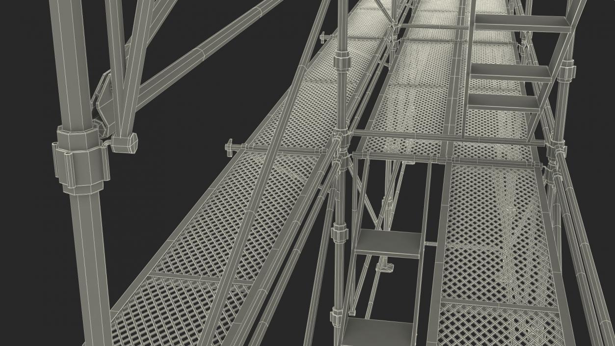 Construction Scaffolding 3D model