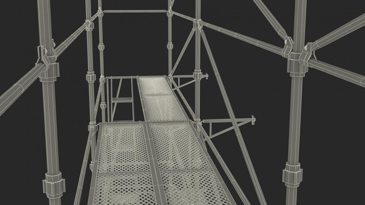 Construction Scaffolding 3D model