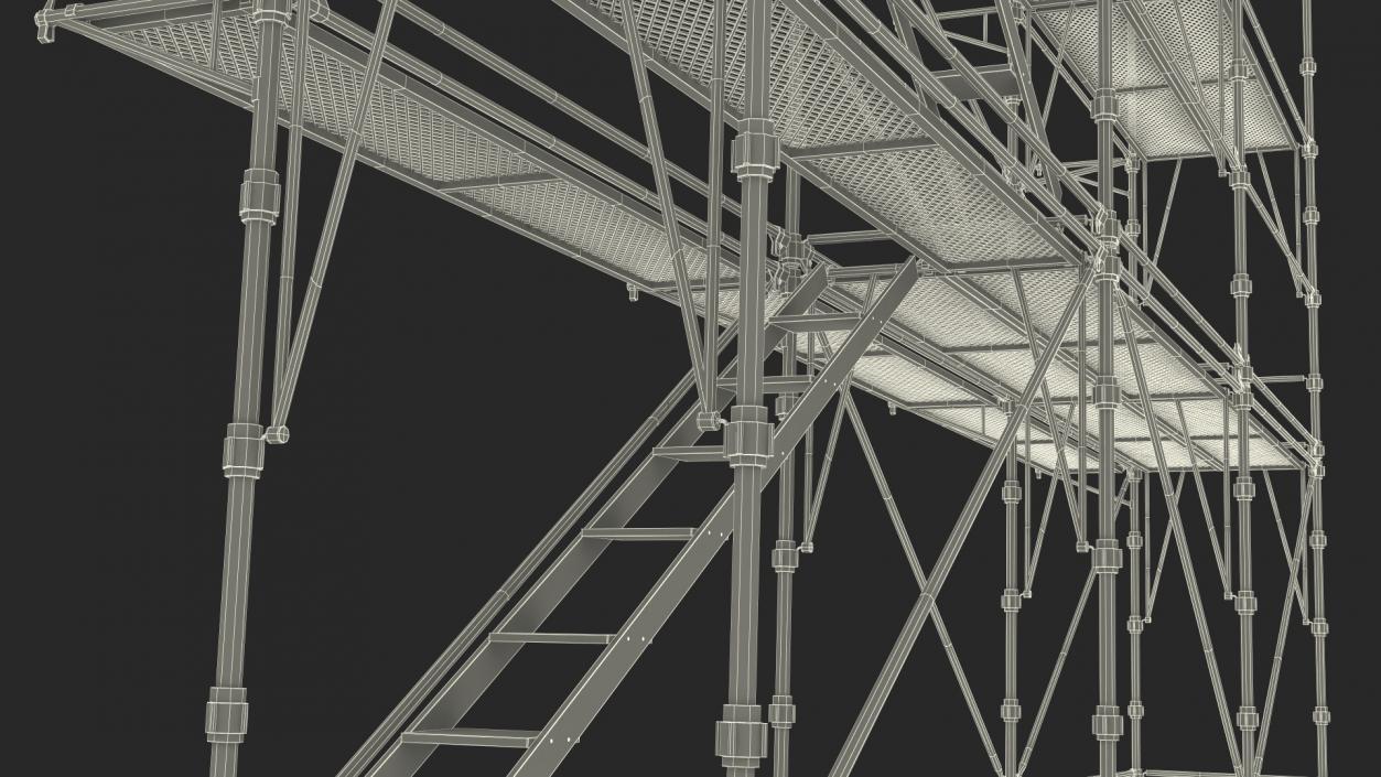 Construction Scaffolding 3D model