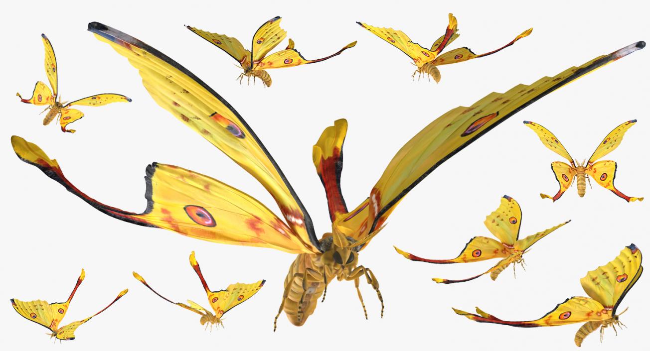 Comet Moth Flying Pose 3D