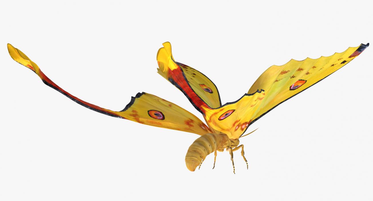 Comet Moth Flying Pose 3D