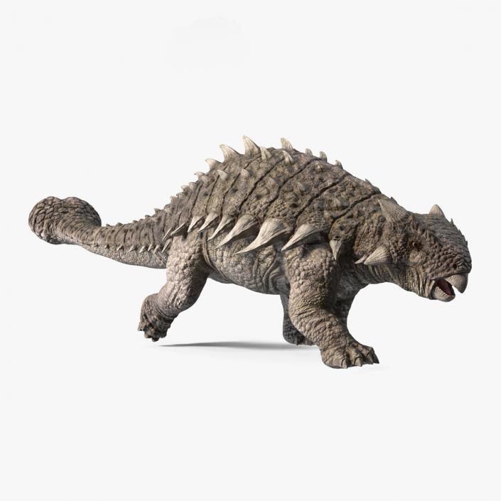 Ankylosaurus from Desert Habitats Rigged for Maya 3D model