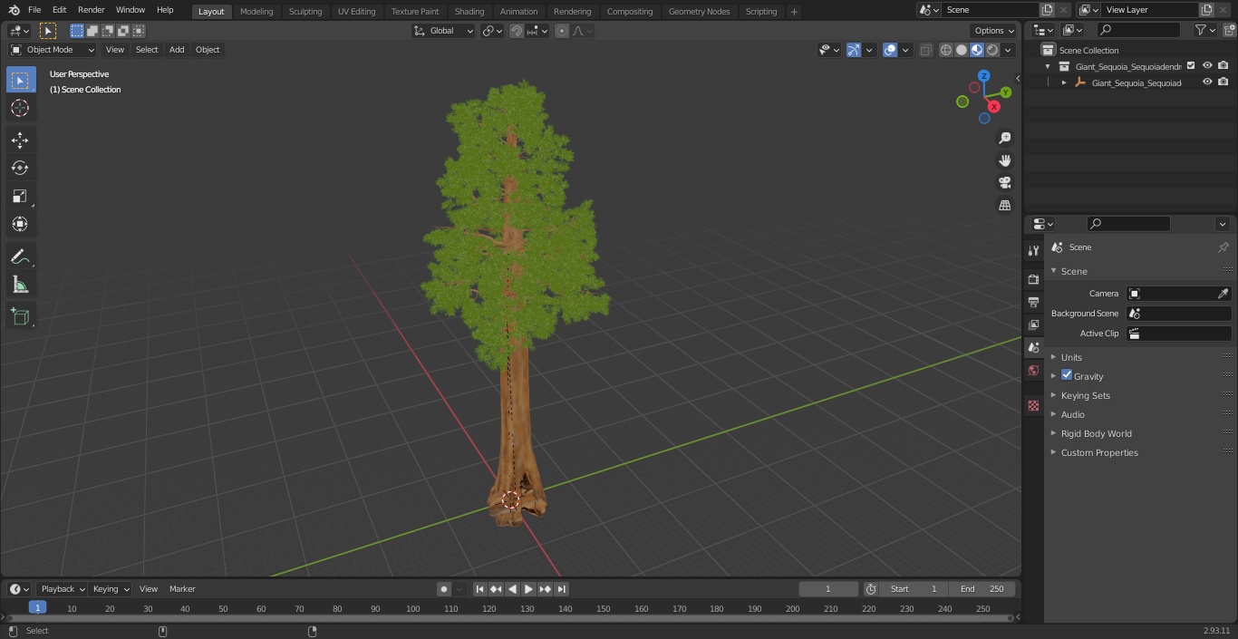 3D Giant Sequoia Sequoiadendron Giganteum model