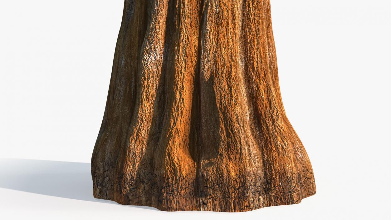 3D Giant Sequoia Sequoiadendron Giganteum model