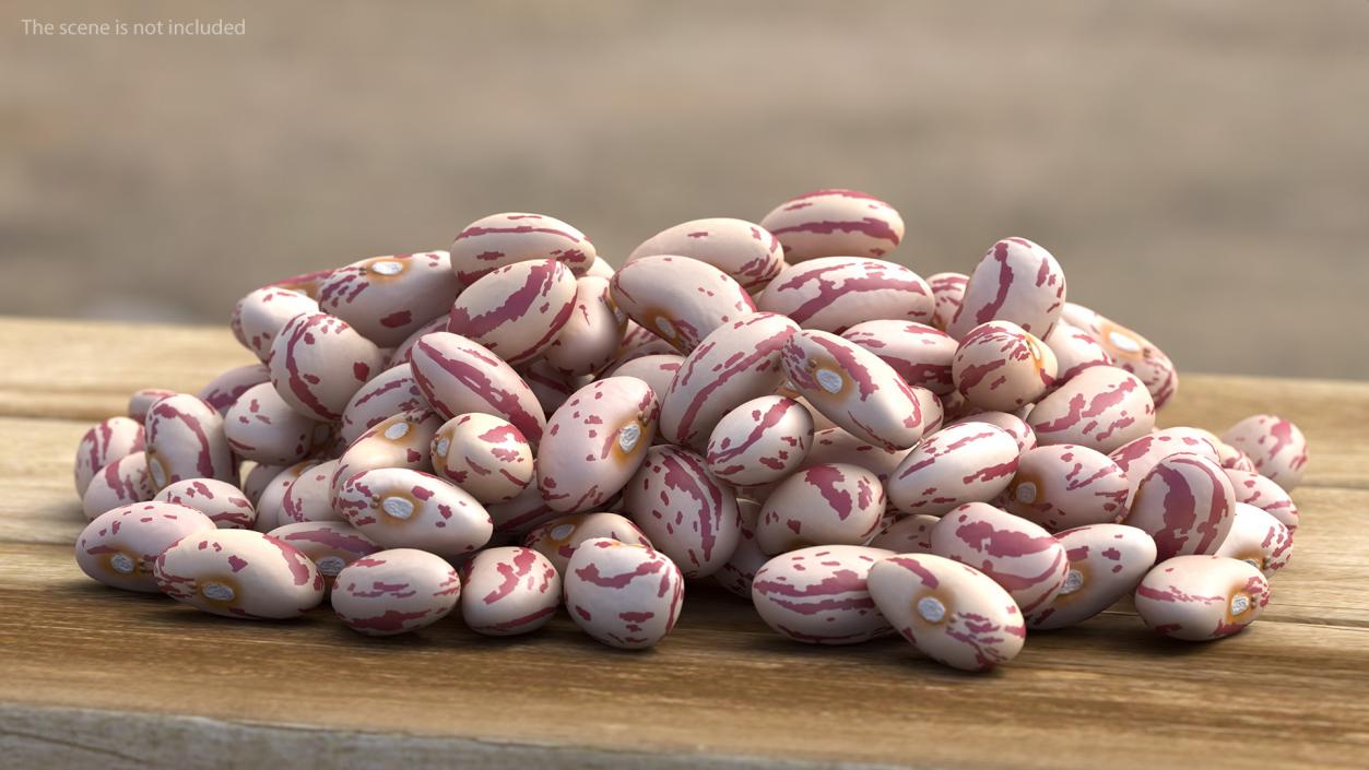 Pile of Roman Beans 3D model