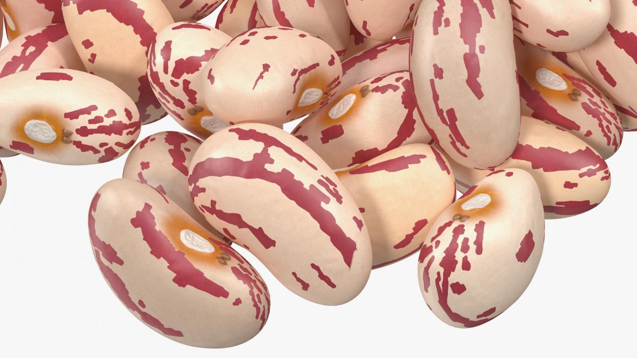 Pile of Roman Beans 3D model