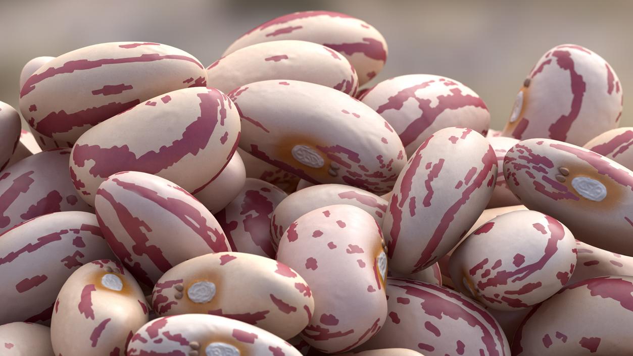 Pile of Roman Beans 3D model