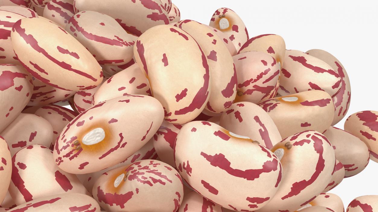 Pile of Roman Beans 3D model