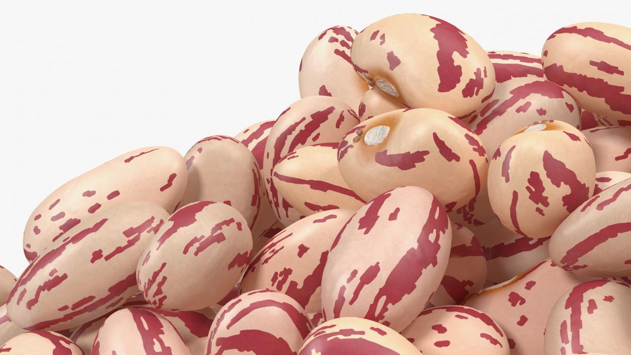 Pile of Roman Beans 3D model