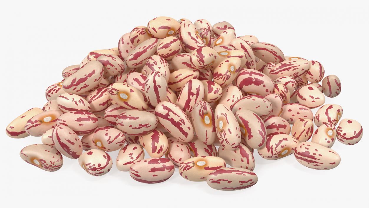 Pile of Roman Beans 3D model