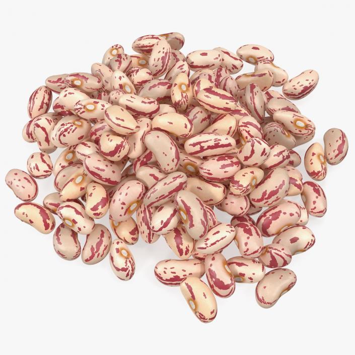 Pile of Roman Beans 3D model