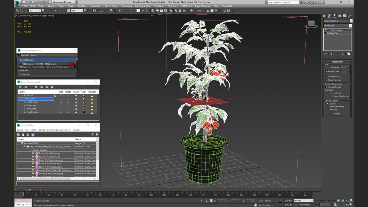 3D Red Tomato Plant Grown Pot