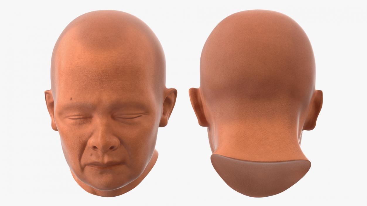 Monk Head 3D model