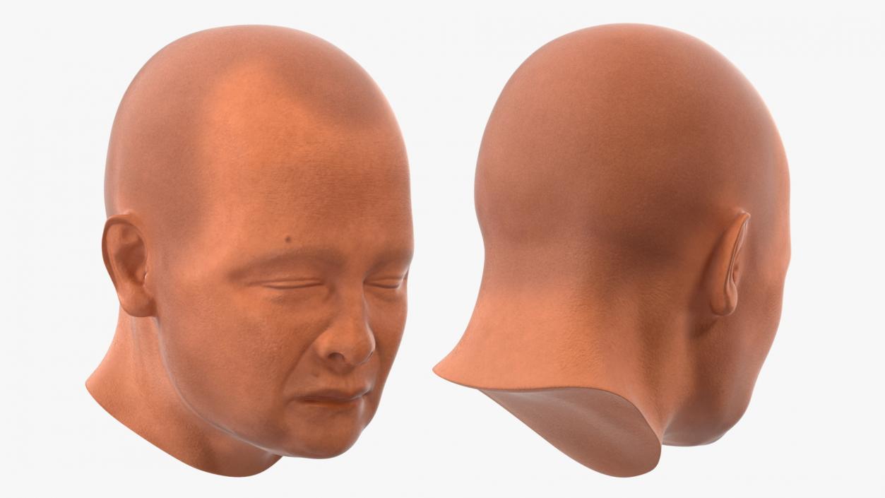 Monk Head 3D model