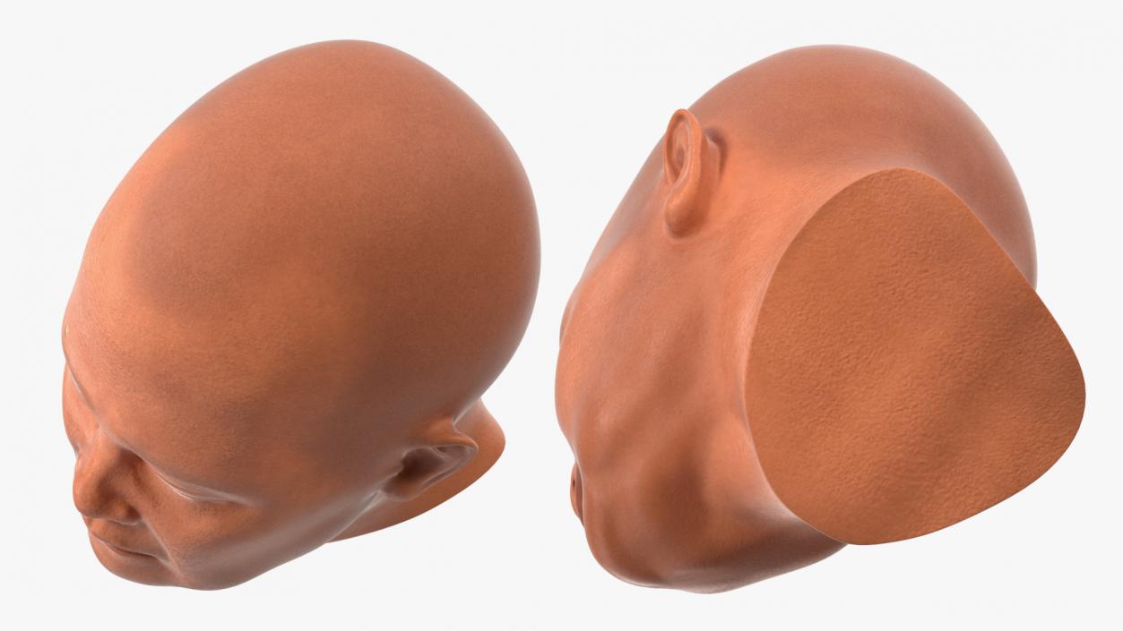 Monk Head 3D model