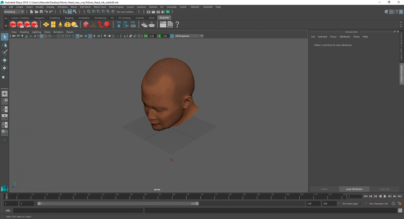 Monk Head 3D model