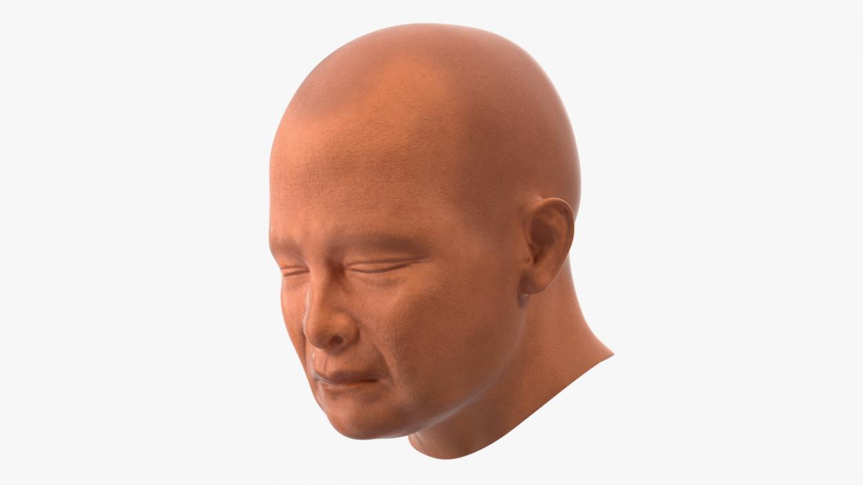 Monk Head 3D model