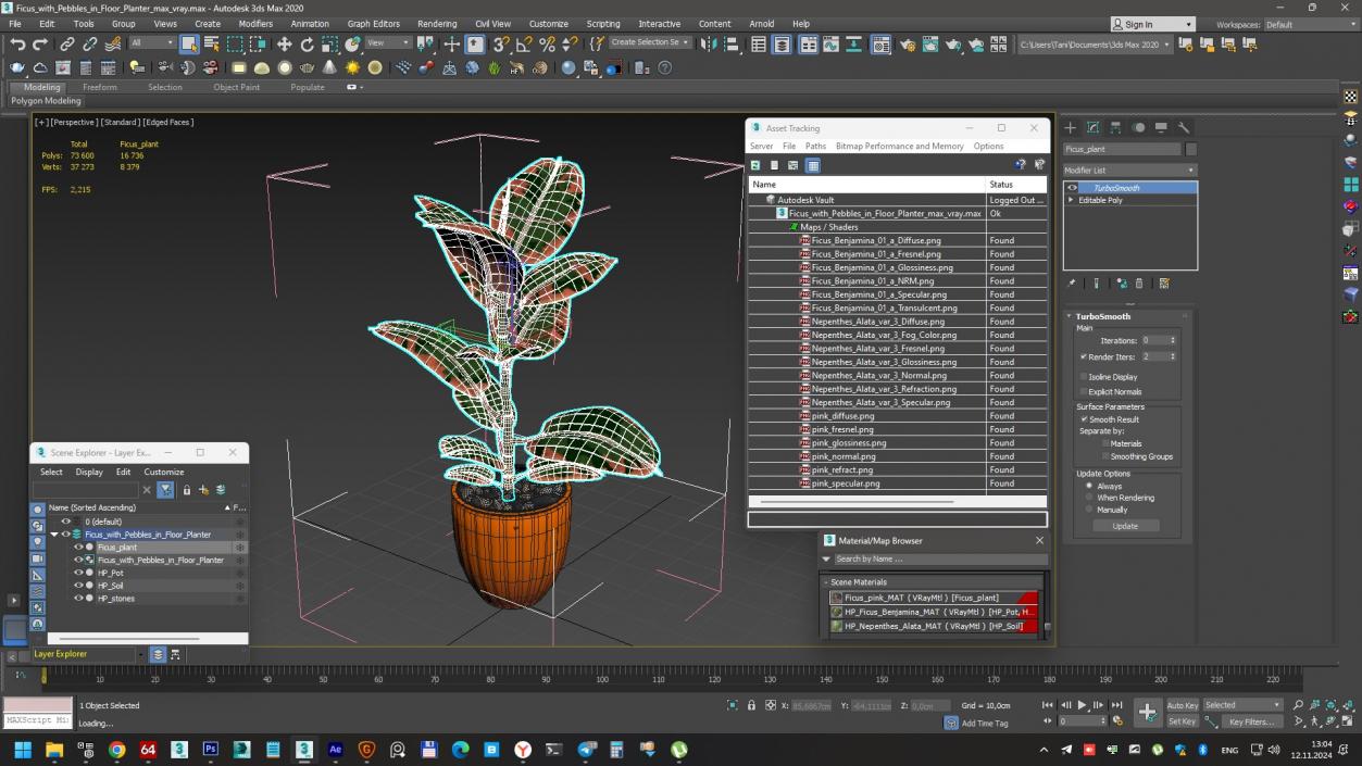 3D model Ficus with Pebbles in Floor Planter