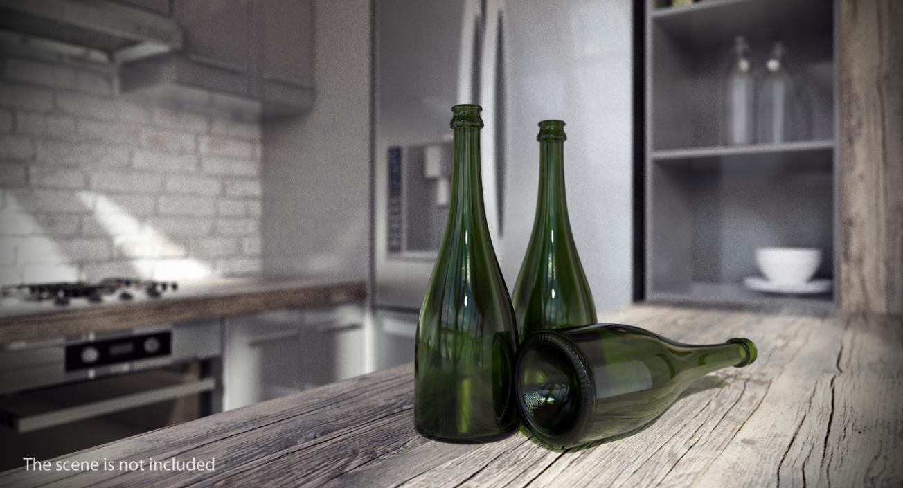 3D Champagne Bottle