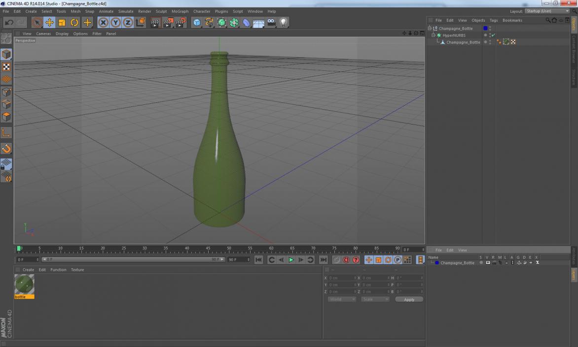 3D Champagne Bottle