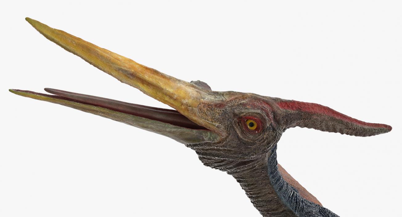 3D model Pteranodon