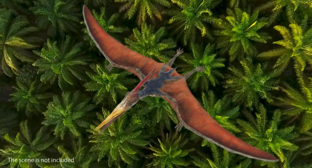 3D model Pteranodon