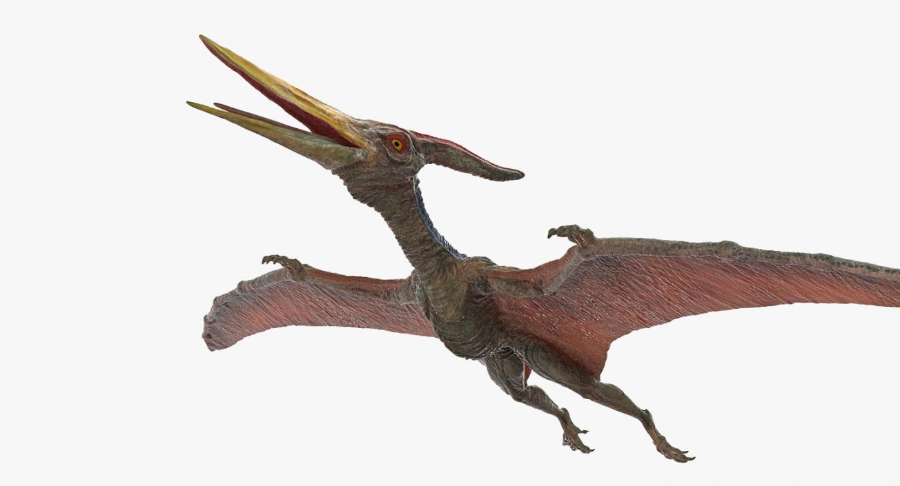 3D model Pteranodon