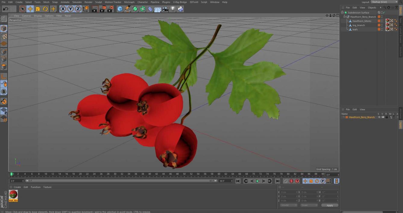 3D Hawthorn Berry Branch