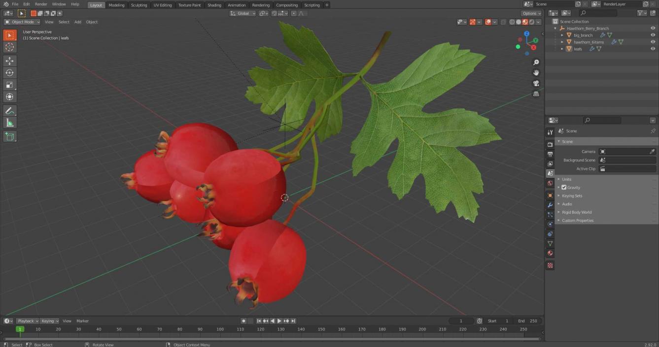 3D Hawthorn Berry Branch