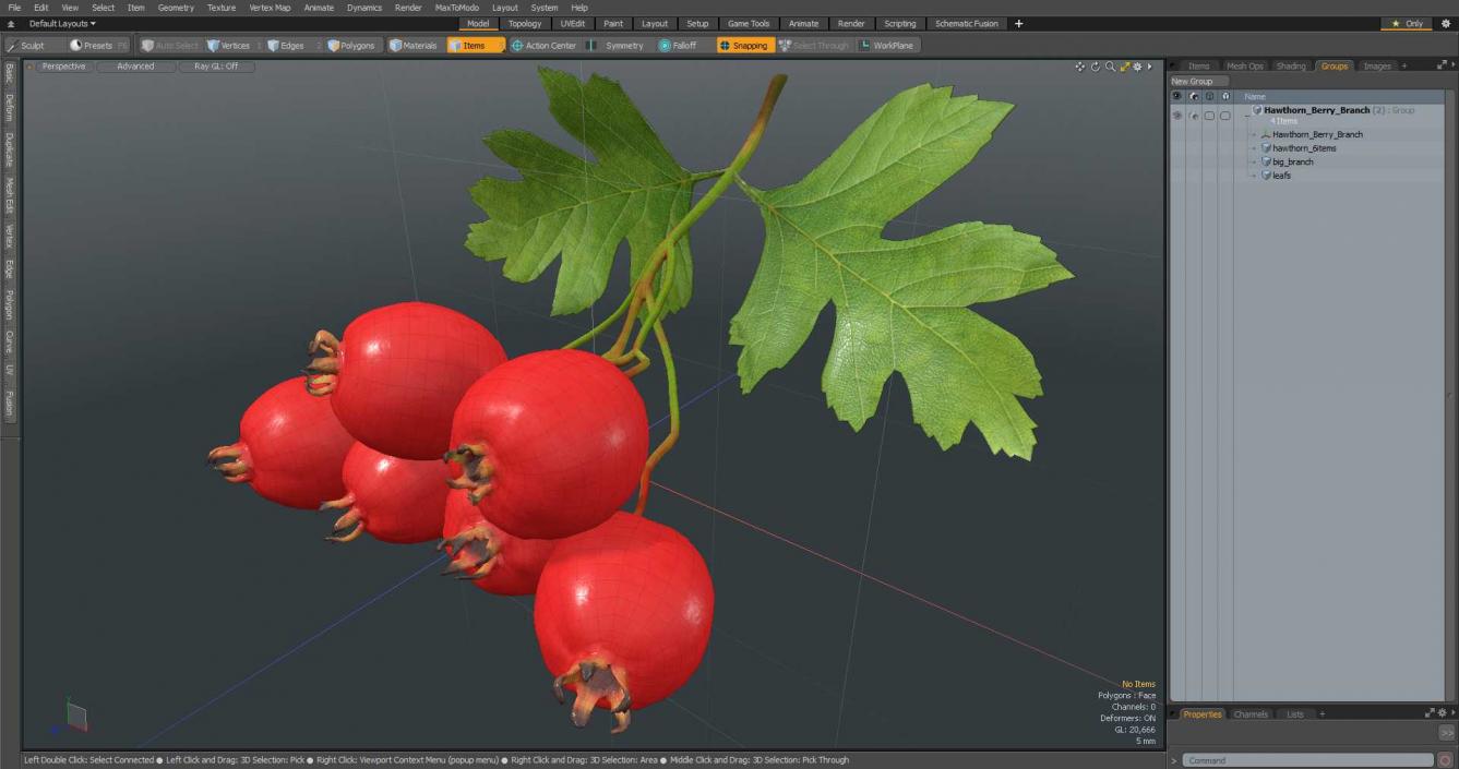 3D Hawthorn Berry Branch