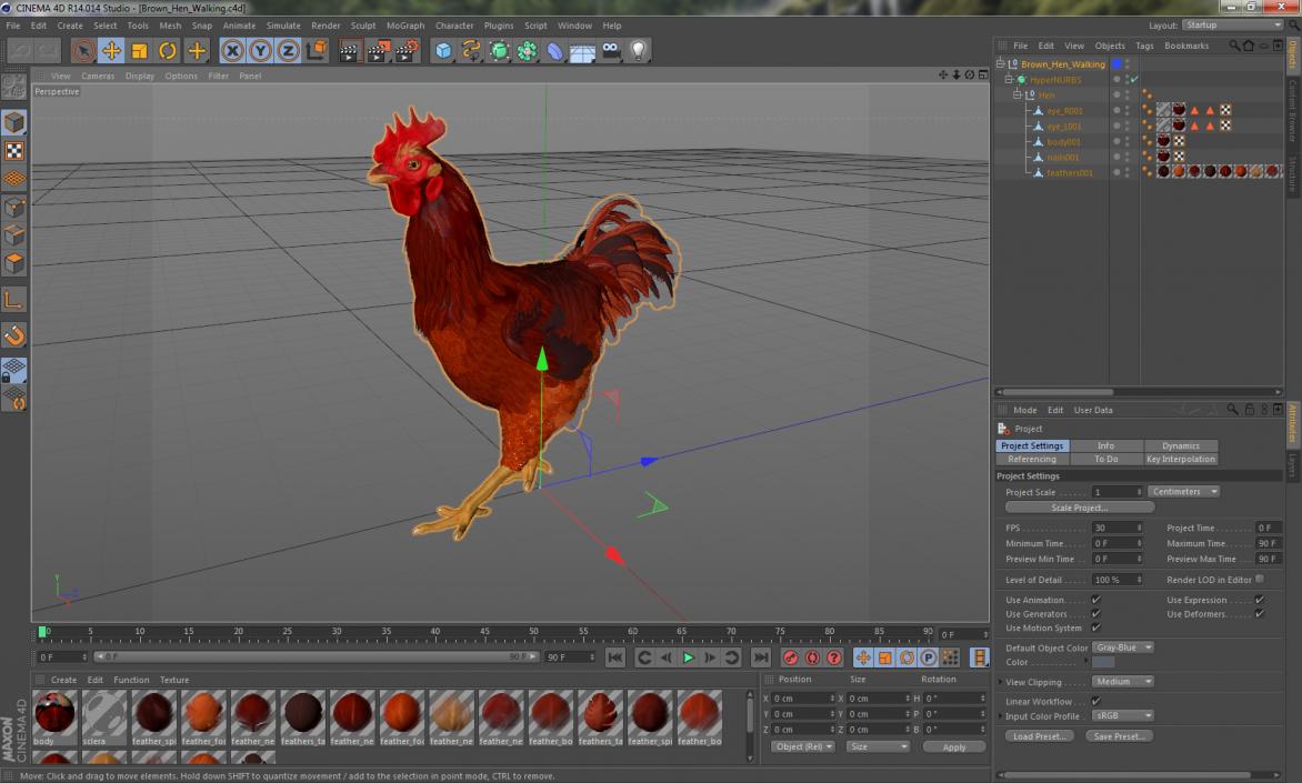 Brown Hen Walking 3D