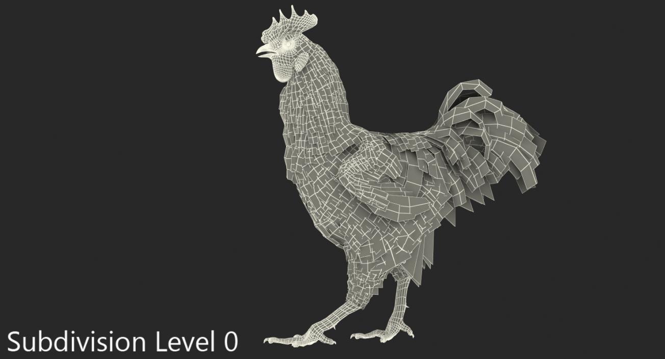 Brown Hen Walking 3D