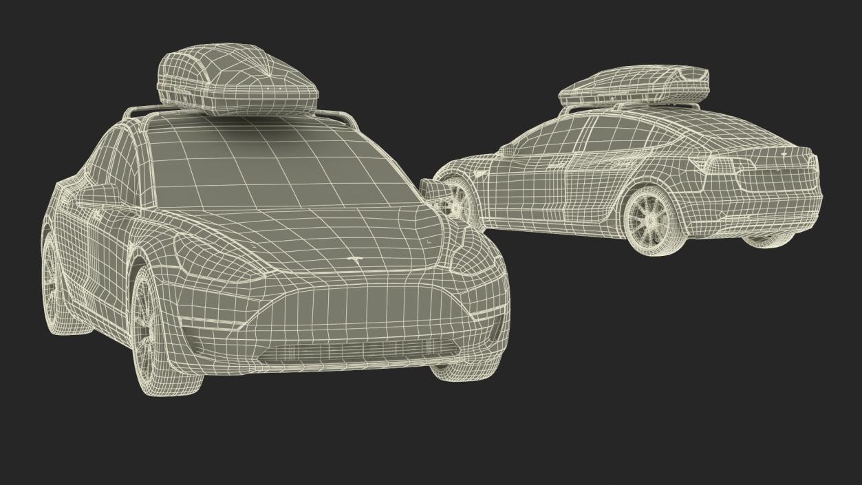 3D Tesla with Thule Car Roofbox on Roof Rack