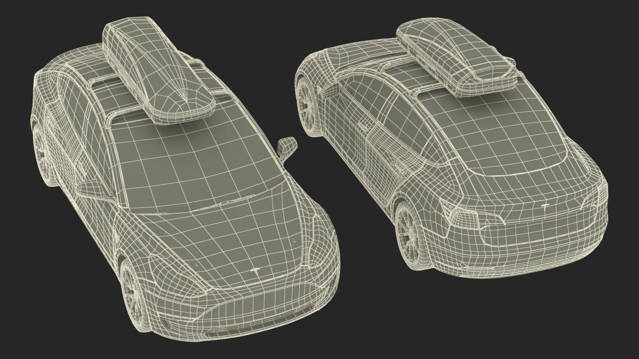 3D Tesla with Thule Car Roofbox on Roof Rack