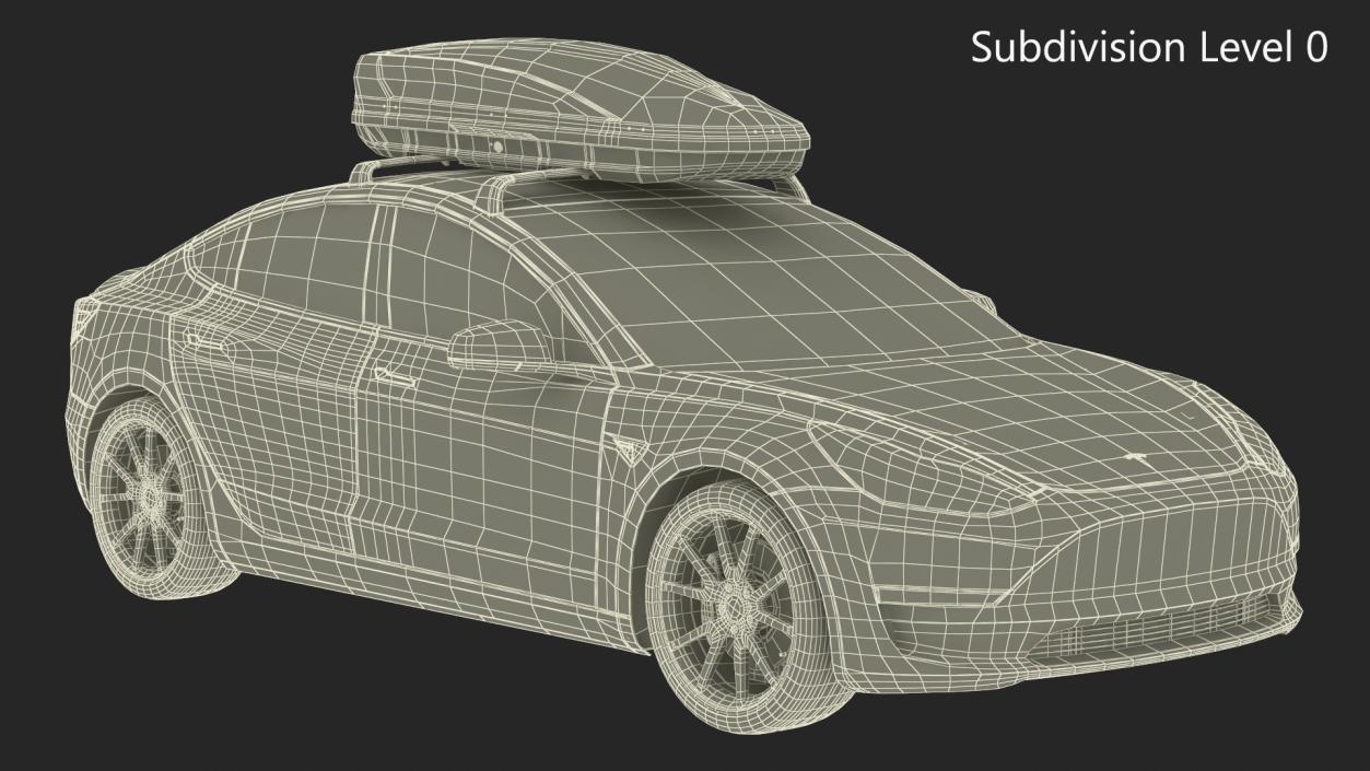 3D Tesla with Thule Car Roofbox on Roof Rack