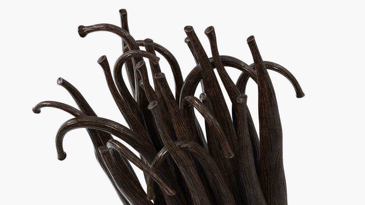 Vanilla Sticks Bunch Fur 3D model