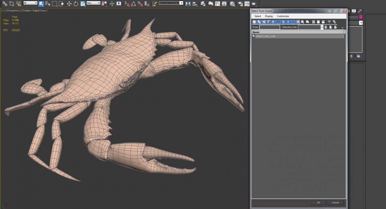 3D Atlantic Blue Crab model