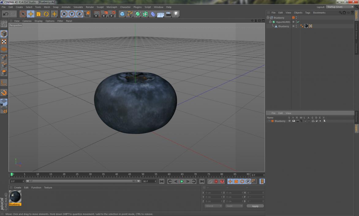 Blueberry 3D model
