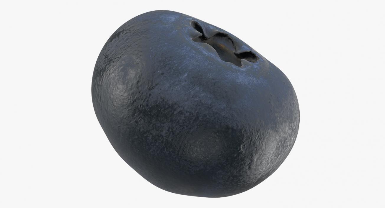 Blueberry 3D model