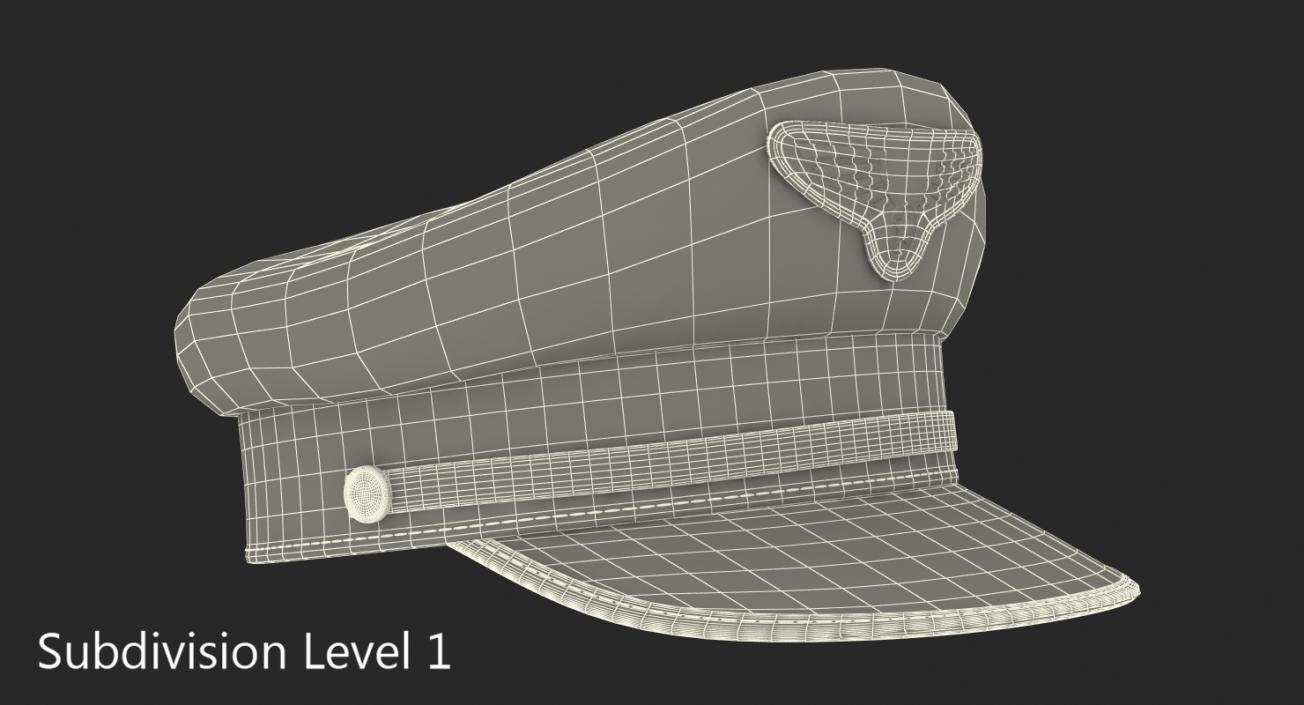 Pilot Hat 3D model