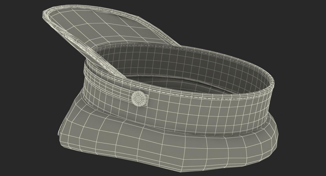 Pilot Hat 3D model